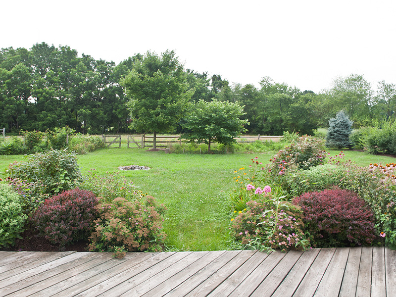 a close up of a flower garden