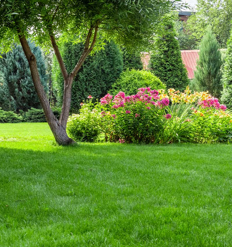 South Dallas Turf and Supply fertilizer delivery