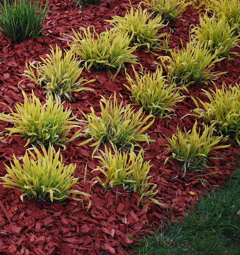 Mulch Services by South Dallas Turf & Supply