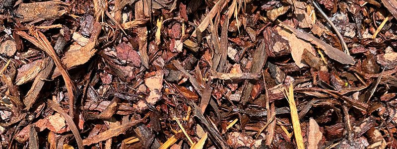 Mulch Products - Shredded Pine Bark