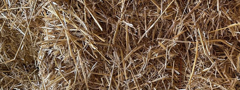 Straw Products - Wheat Straw