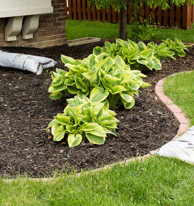 Premium Landscaping Products