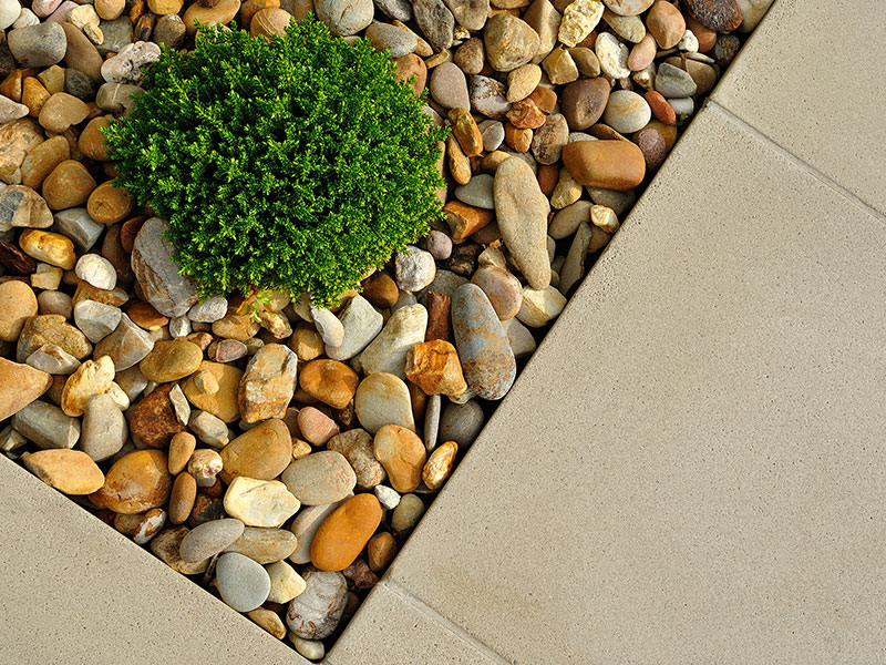 South Dallas Turf and Supply landscaping solutions