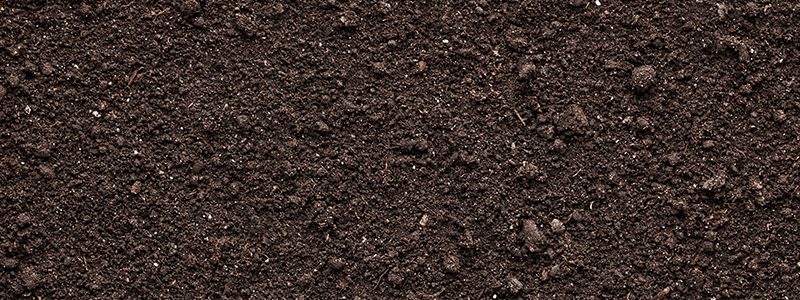 Screened Topsoil Price