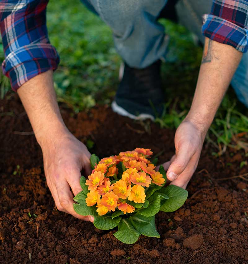 soil delivery and pickup services from South Dallas Turf & Supply.