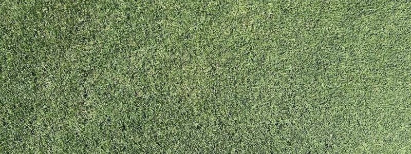 TifTuf Bermuda Sod