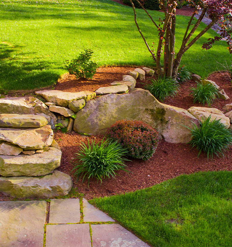 zoysia sod verities near you