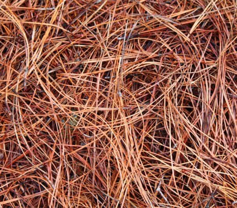 straw