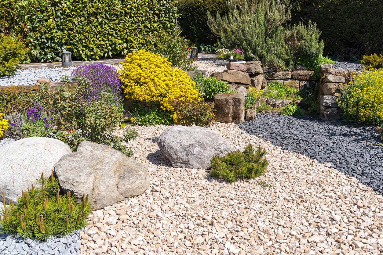 a close up of a flower garden