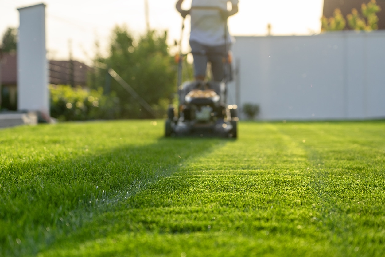 A man mowing his bright green sod with his mower based on the lawn mower height settings