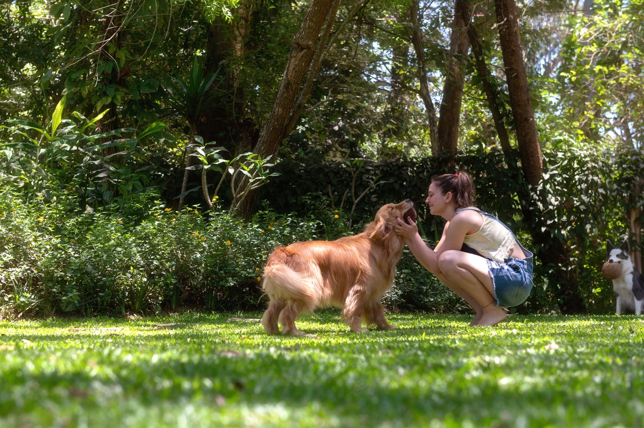 A woman and her dog play together in the yard, which is made up of artificial turf.