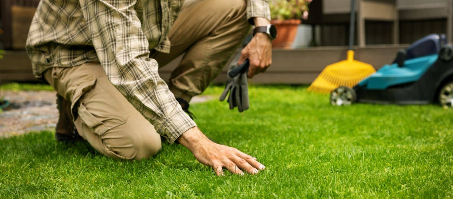 A Man Leaning Down To Feel His Brand New Sod. He’s Hoping To Avoid Sod Installation Mistakes.