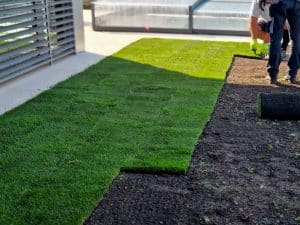 Fresh green sod being installed in a Birmingham backyard by a professional crew.