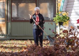 A woman practices early spring grass care by raking up dead leaves.