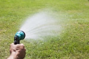 Birmingham homeowner is possibly overwatering his backyard.