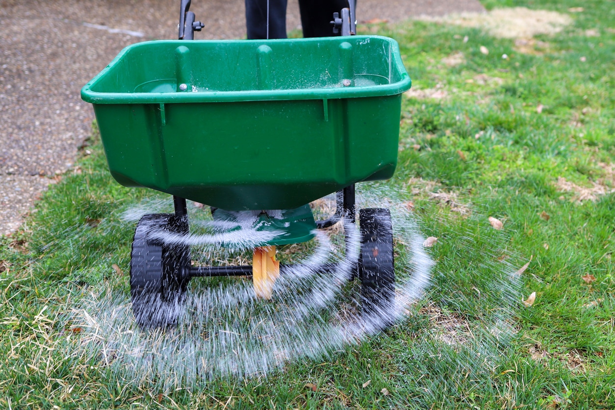 A seed and fertilizer spreader being pushed around a yard.